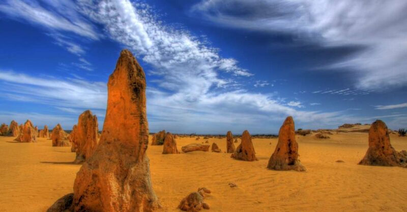 From Perth: Pinnacle Desert, Yanchep, & Swan Valley Day Tour - Live Tour Guide and Language