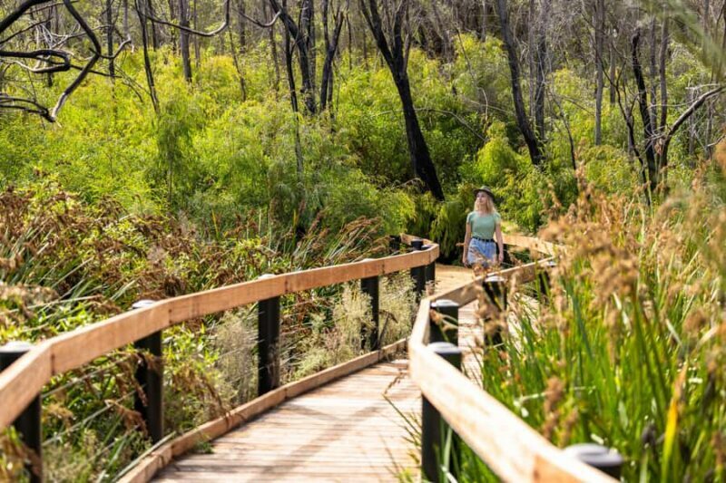 From Perth: Pinnacles Lobster Shack and Yanchep Day Trip - Final Thoughts: Is This Tour Worth It?