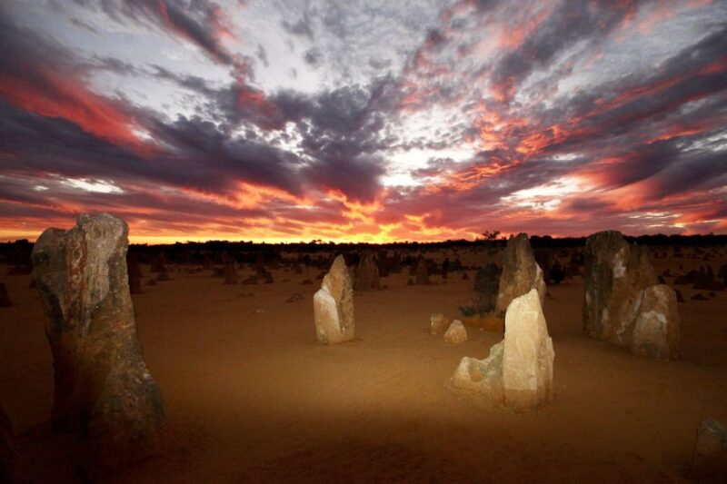 From Perth: Pinnacles Sunset and Stargazing Tour With Dinner - Itinerary Details