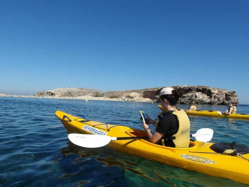 From Perth: Rockingham Seal & Penguin Islands Sea Kayak Tour - The Experience: Benefits and Considerations