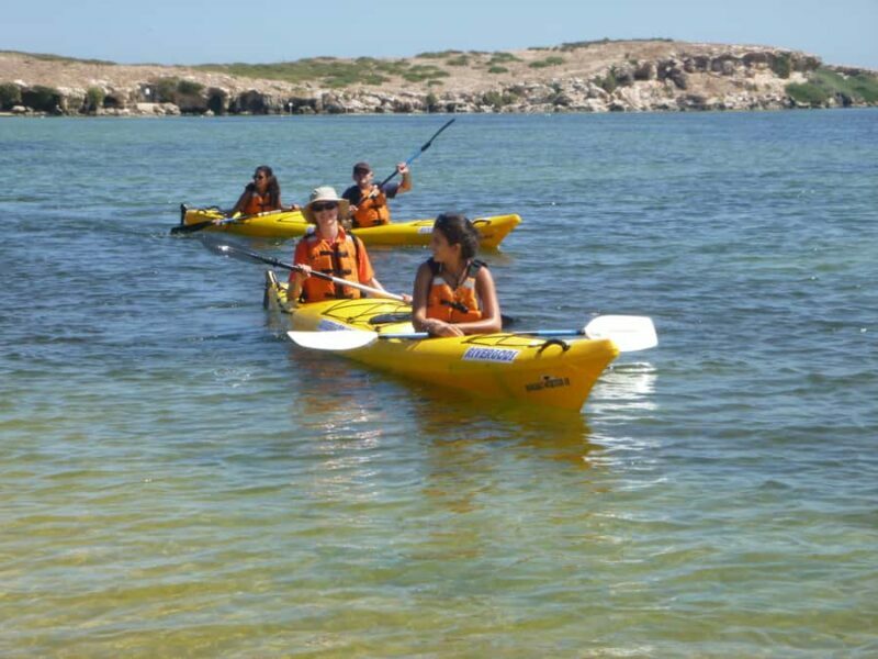 From Perth: Rockingham Seal & Penguin Islands Sea Kayak Tour - FAQ