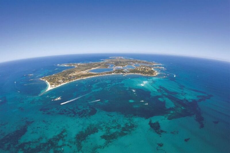 From Perth: Rottnest Island Ferry & Admission - Customer Ratings