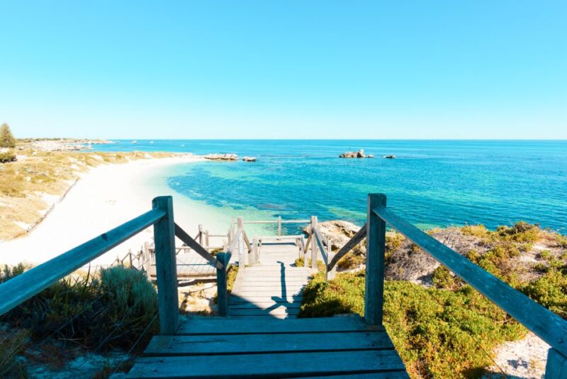 From Perth: Rottnest Island Ferry & Bike Trip - Swan River Cruise Commentary