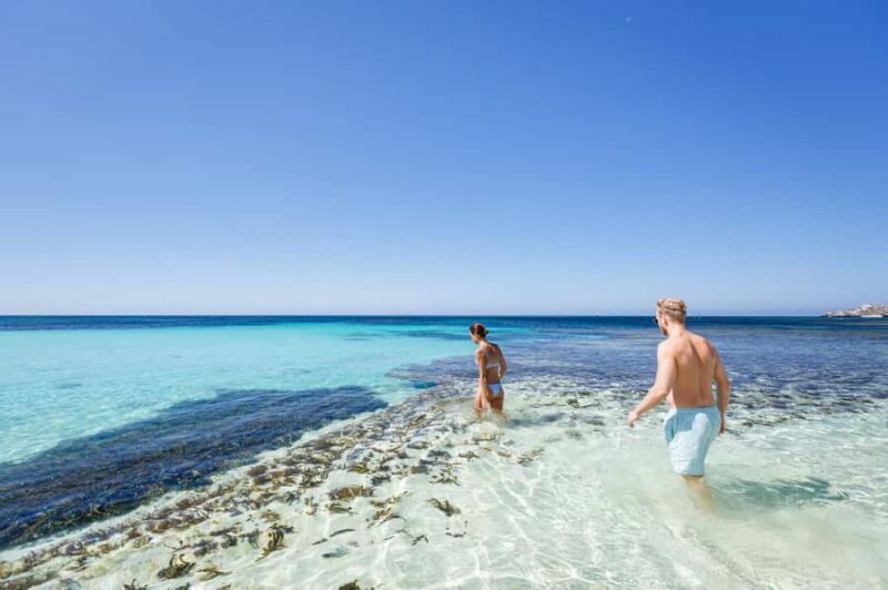From Perth: Rottnest Island Ferry & Bus Day Tour - What the Tour Includes and How It Works