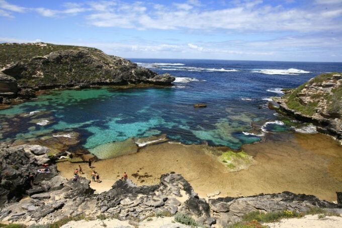 From Perth: Rottnest Island Ferry & Bus Tour - Discovery Bus Tour