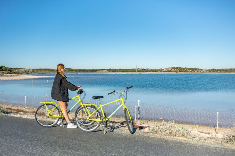 From Perth: Rottnest Island Full-Day Bike and Ferry Trip - Experience Highlights
