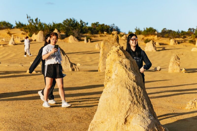 From Perth: The Pinnacles Desert Sunset and Star-Gazing Tour - Pinnacles Desert Sunset