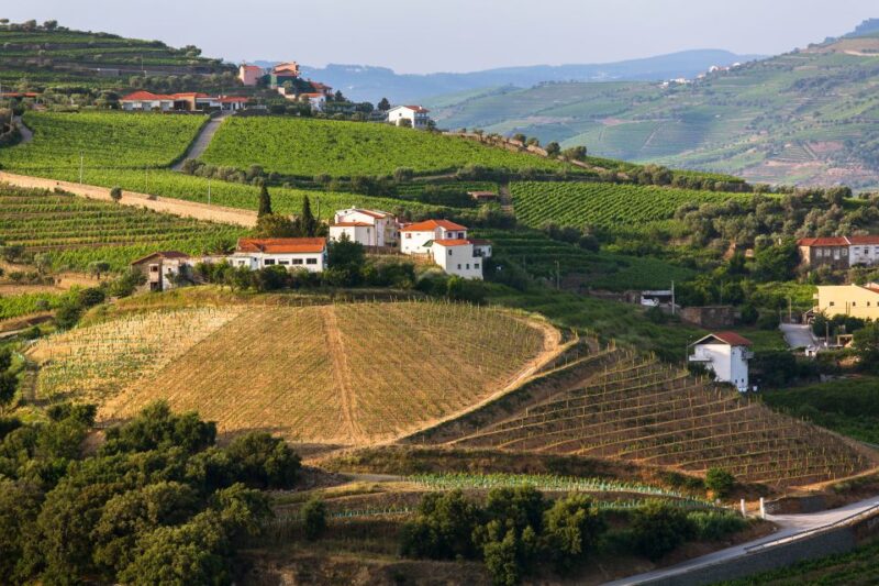 From Peso Da Regua: Douro Valley Tour - Key Points