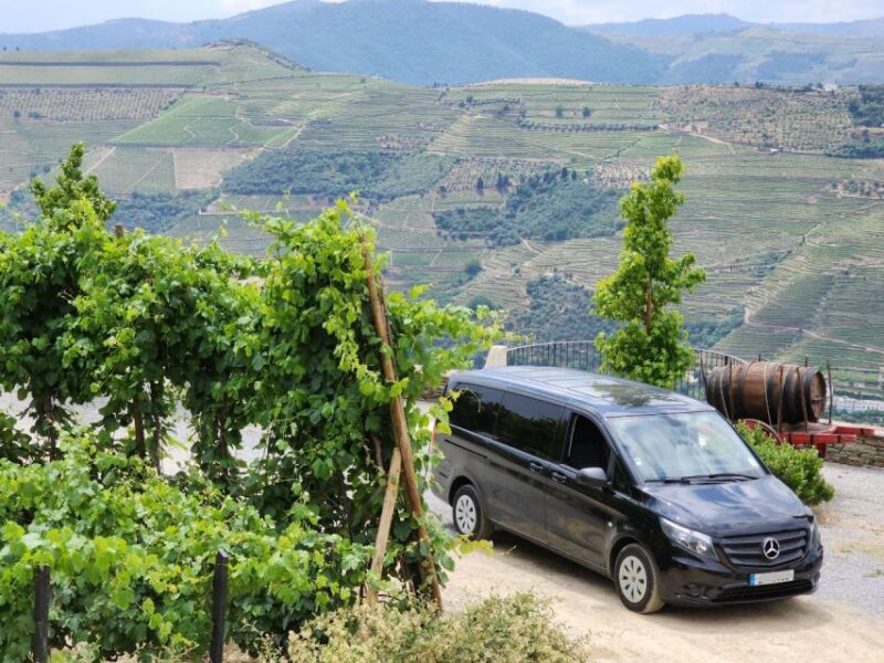 From Peso Da Régua: Visit 3 Wineries, Tasting and Viewpoint - Tour Pricing