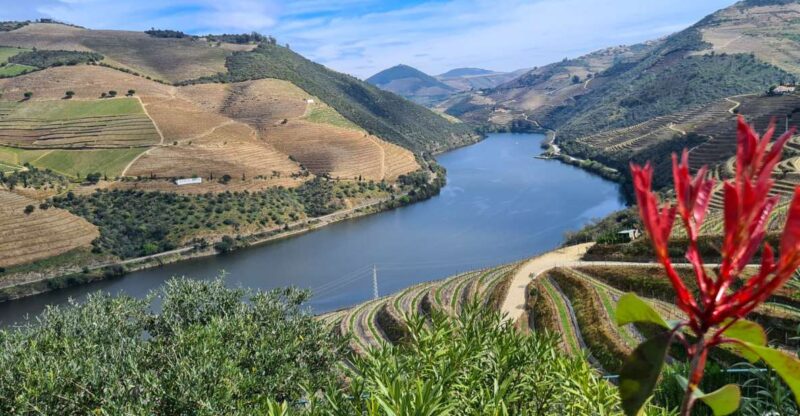 From Peso Da Régua: Visit 3 Wineries, Tasting and Viewpoint - Itinerary Details