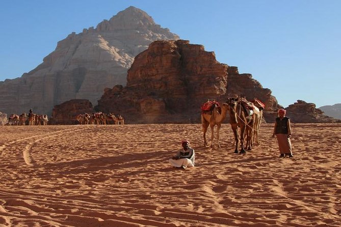 From Petra to Wadi Rum Back to Amman or Airport - Pickup and Safety
