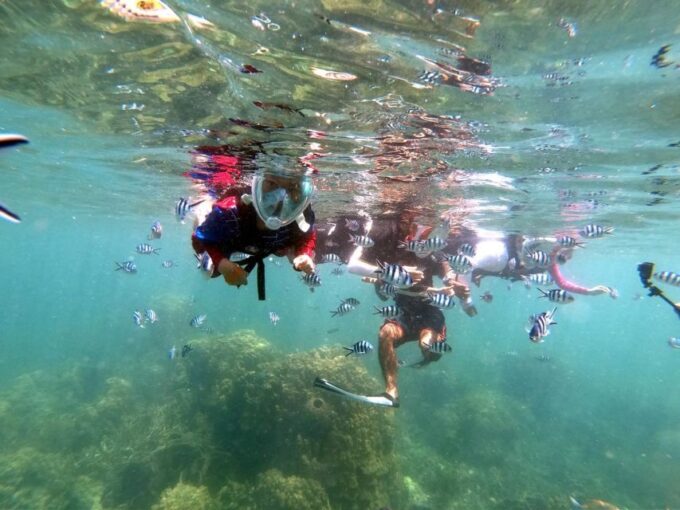 From Phi Phi: 6 Hrs Private Phi Phi Islands Boat Tour - Booking and Cancellation