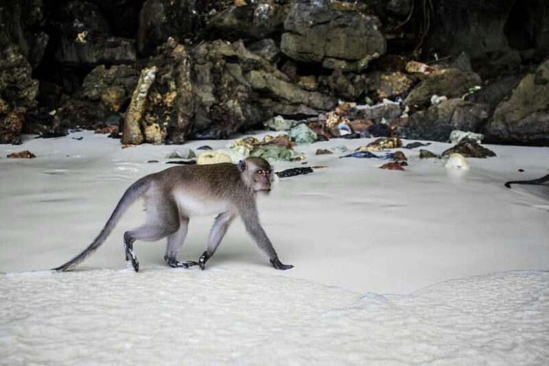 From Phi Phi: Full Day 7 Island Tour by Longtail With Sunset - Key Points