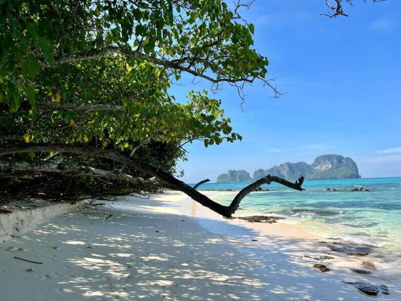 From Phi Phi: Full Day 7 Island Tour by Longtail With Sunset - Itinerary Highlights