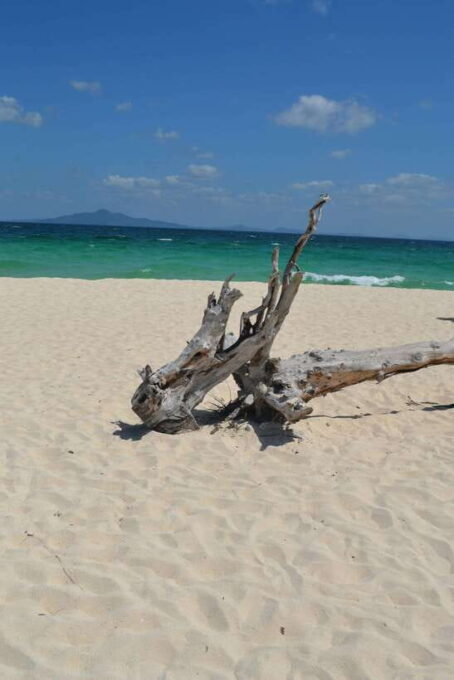 From Phi Phi: Full Day 7 Island Tour by Longtail With Sunset - Frequently Asked Questions