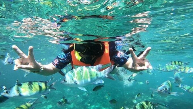 From Phi Phi: Full Day Phi Phi Island Tour by Speed Boat. - Potential Encounters