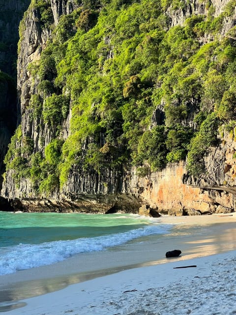 From Phi Phi: Half Day Snorkeling Trip By Longtail Boat - Encounter Wild Monkeys