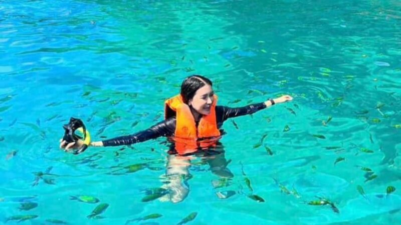 From Phi Phi: Half Day Snorkeling Trip by Speedboat - Inclusions
