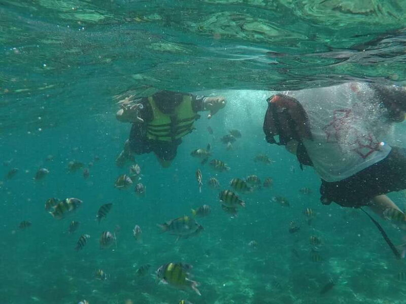 From Phi Phi Island :Half-day Tour by Longtail Boat - Customer Reviews