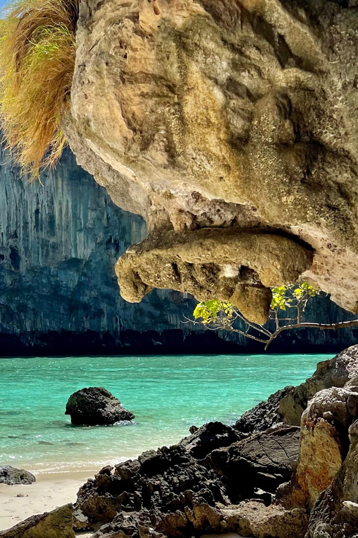 From Phi Phi : Maya Bay Longtail Boat Tour - Inclusions and Restrictions