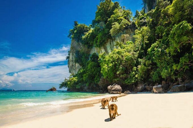 From Phi Phi: Maya Bay Private Long Tail Boat Tour - Frequently Asked Questions