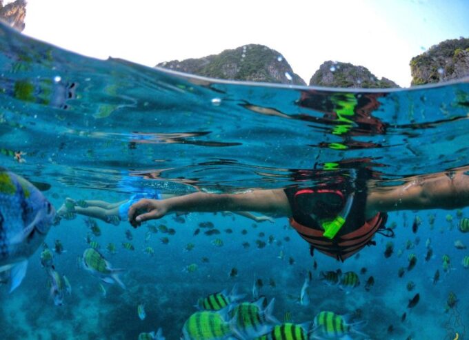 From Phi Phi : Maya Bay Sunset Cruise and Plankton Swimming - Tour Flexibility and Languages