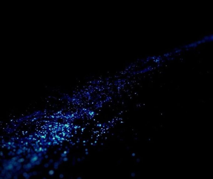 From Phi Phi: Sunset & Bioluminescent Plankton Snorkel Tour - Snorkeling With Bioluminescent Plankton