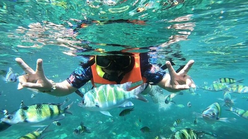 From Phi Phi:Watch Sunset at Maya Bay, Planktron and Snorkel - Leisure Activities
