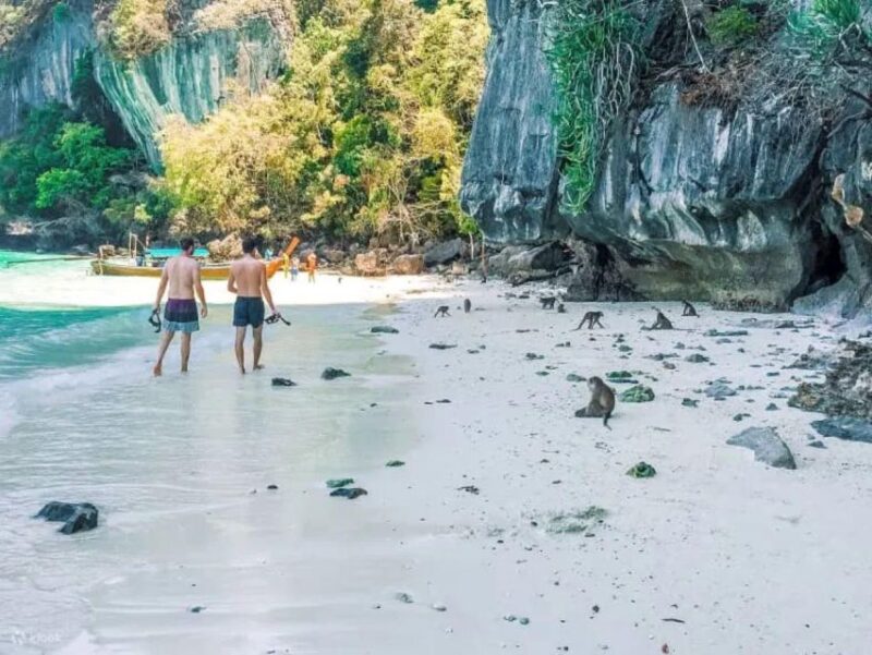 From Phi Phi:Watch Sunset at Maya Bay, Planktron and Snorkel - Accommodation and Transportation