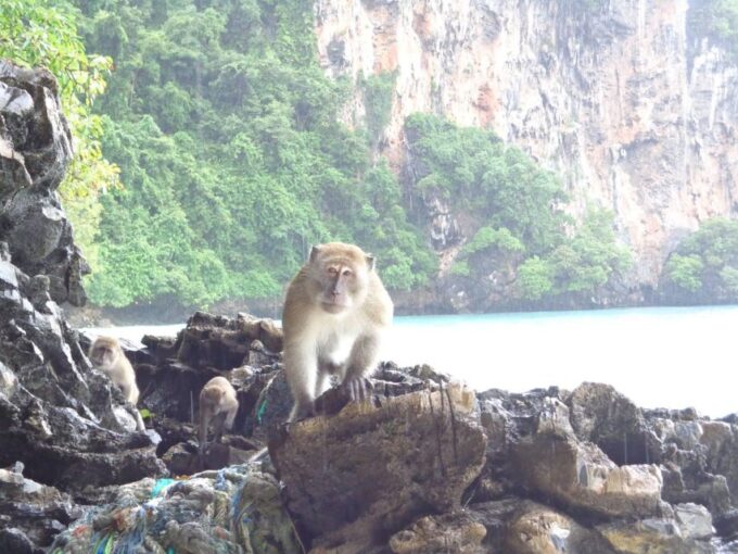 From Phi Phi:Watch Sunset at Maya Bay, Planktron and Snorkel - Additional Information