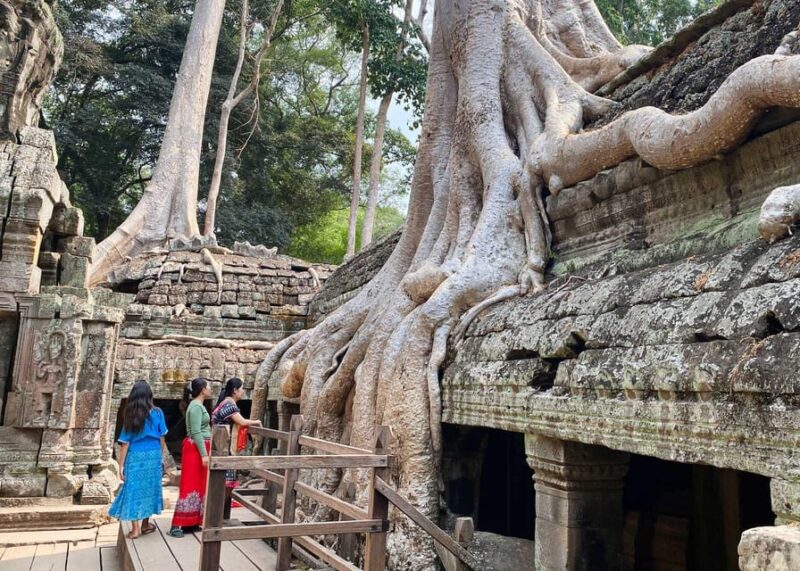From Phnom Penh: Angkor Wat, Bayon, and Ta Prohm Day Trip - Customer Reviews and Recommendations
