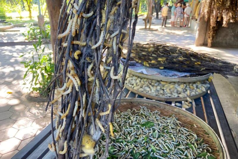 From Phnom Penh: Half-Day Silk Island Tour With Guide - Inclusions and Exclusions