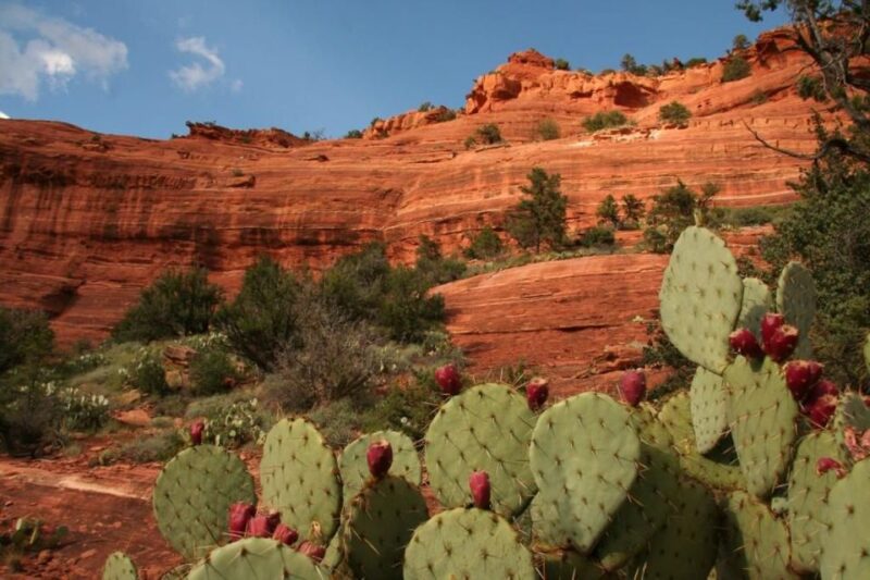 From Phoenix: Full-Day Sedona Small-Group Tour - Itinerary Highlights