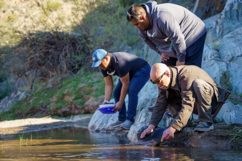 From Phoenix: Gold Rush Guided Hiking and Gold Panning Tour - Tour Details