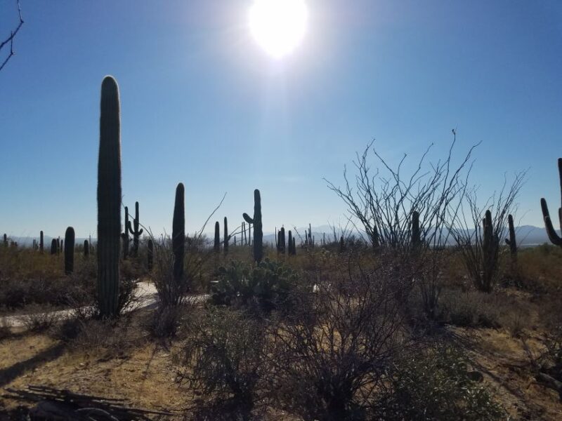 From Phoenix: Tombstone and Bisbee Day Tour - Exploring Tombstone