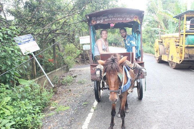 From Phu My Port to Mekong Delta Tour 1 Day Private Car - Memorable Experiences