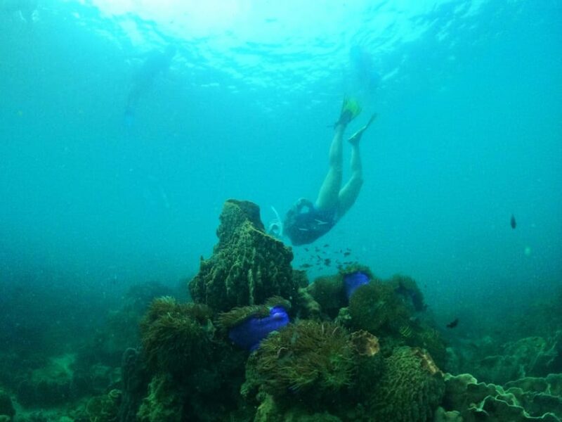 From Phu Quoc: Discover 4 Islands by Speedboat Full Day Tour - Itinerary