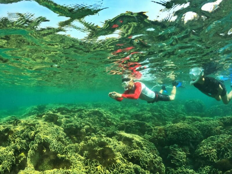 From Phu Quoc: Discover 4 Islands by Speedboat Full Day Tour - Relaxation at Mong Tay Island