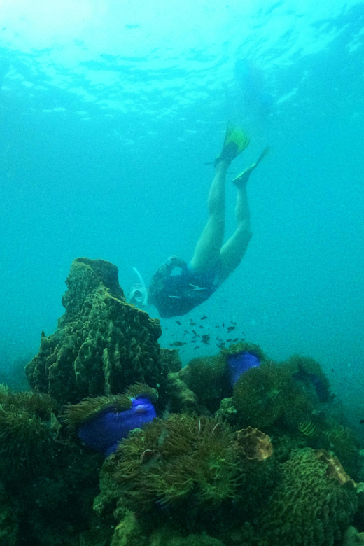 From Phu Quoc: Discover 4 Islands by Speedboat Full Day Tour - Included Activities and Highlights