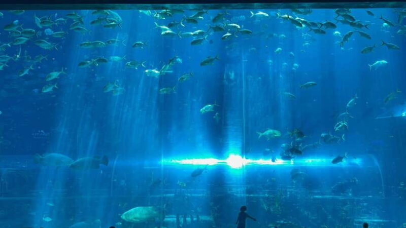 From Phu Quoc Island: Vinwonder And Safari Private Tour - What to Expect During the Tour