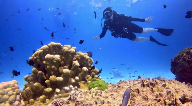 From Phuket: 3-Day SSI/PADI Open Water Diver Certification - Daily Itinerary