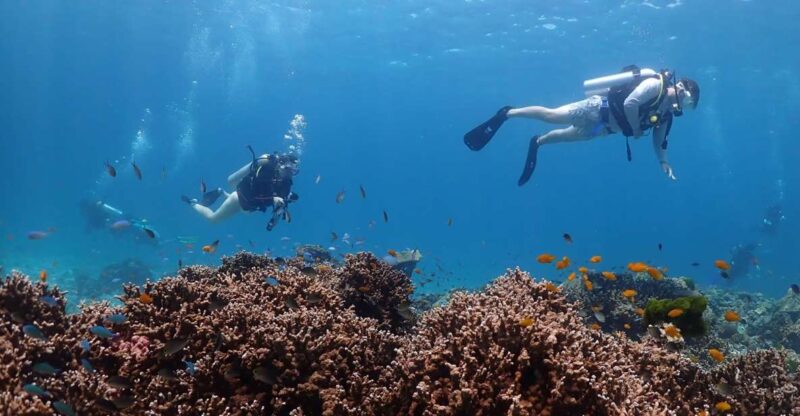 From Phuket: 3-Day SSI/PADI Open Water Diver Certification - Practical Segment
