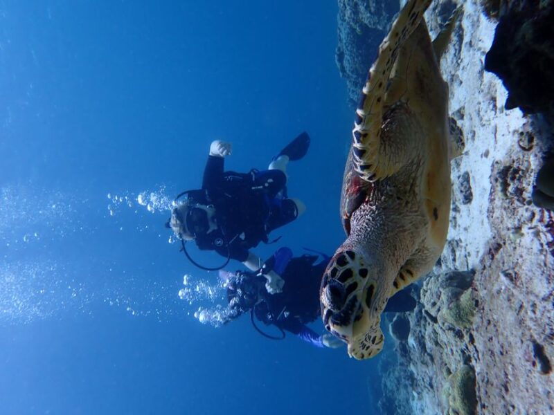 From Phuket: 3-Day SSI/PADI Open Water Diver Certification - Discover Scuba Diving