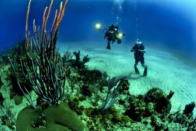 From Phuket: 3-Day SSI/PADI Open Water Diver Certification - Frequently Asked Questions