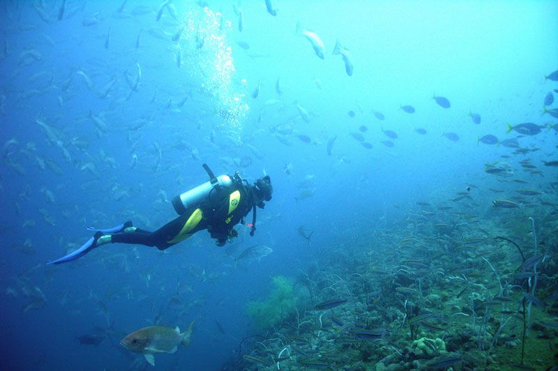 From Phuket: Advanced Open Water Diving Course - Booking Information