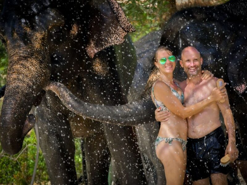 From Phuket: Elephant Jungle Sanctuary Feed and Shower Trip - Pricing and Inclusions