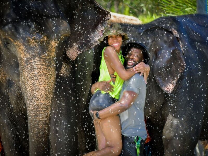 From Phuket: Elephant Jungle Sanctuary Feed and Shower Trip - Highlights of the Tour