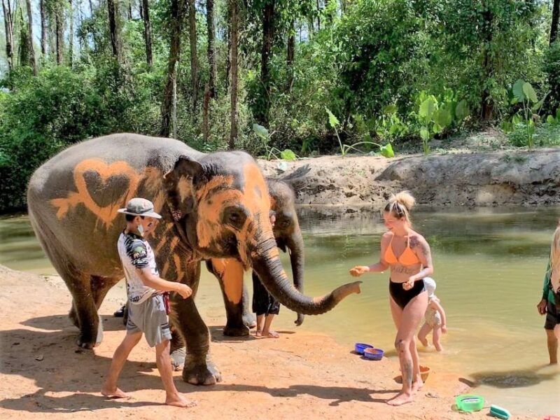From Phuket: Elephant & Sea Turtle Conservation Private Tour - Key Points