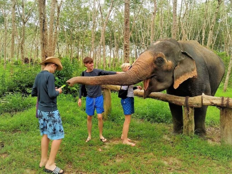 From Phuket: Elephant & Sea Turtle Conservation Private Tour - Important Information