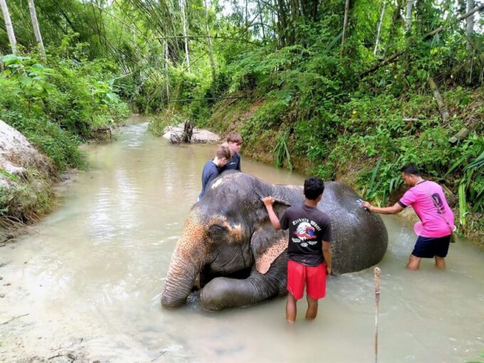 From Phuket: Elephant & Sea Turtle Conservation Private Tour - Unique Experiences